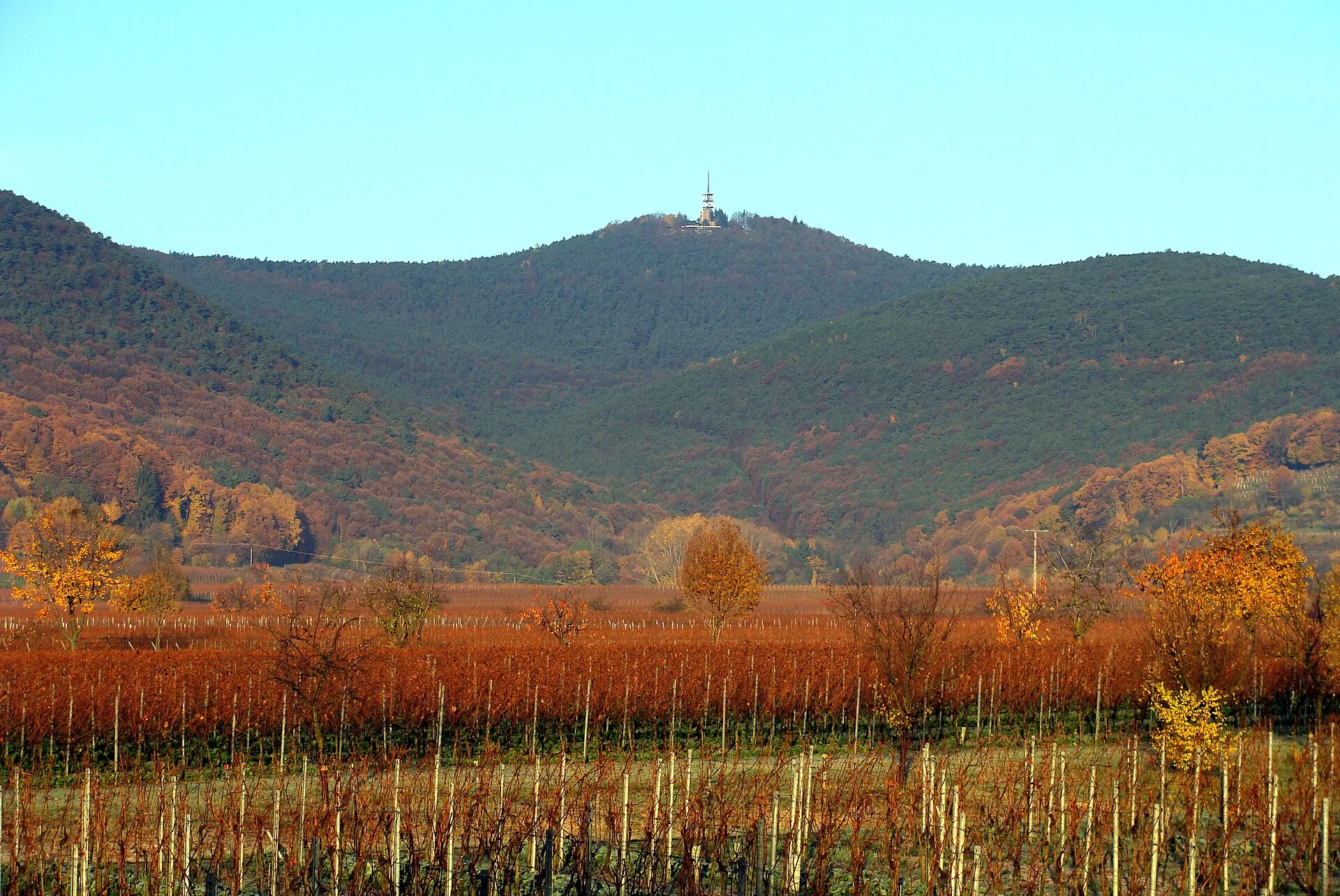 Blick von der Kalmit über die Rheinebene