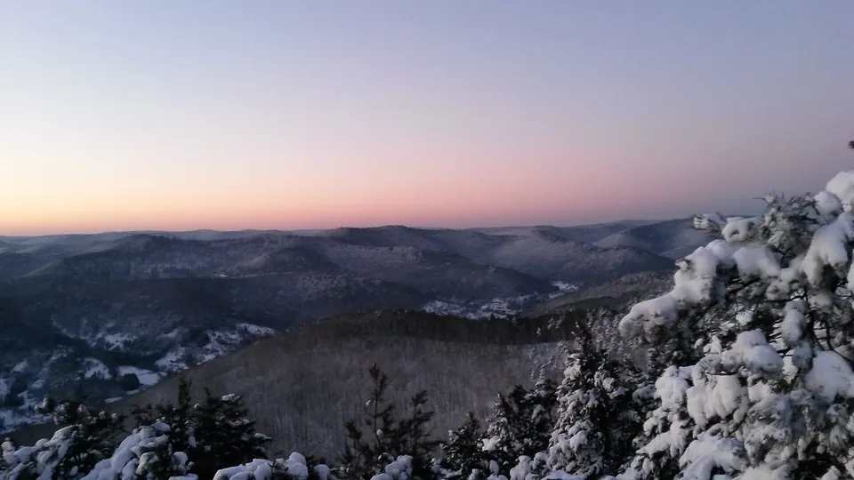 Aussicht vom Orensfels über den Pfälzerwald
